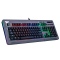 TT Premium Level 20 RGB Cherry MX 機械式銀軸電競鍵盤鈦灰特仕版